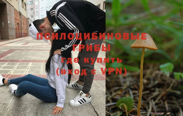 mdpv Михайлов