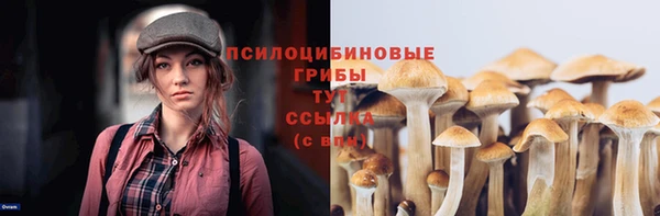mdpv Михайлов