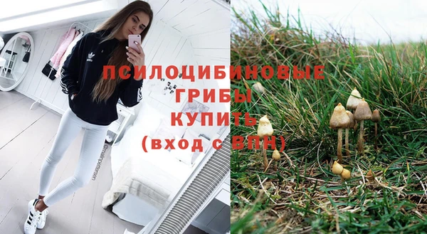 MDMA Premium VHQ Михайловка