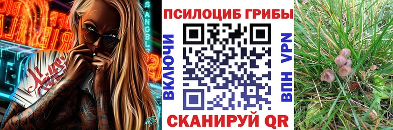 что такое наркотик  Топки  Псилоцибиновые грибы мицелий 