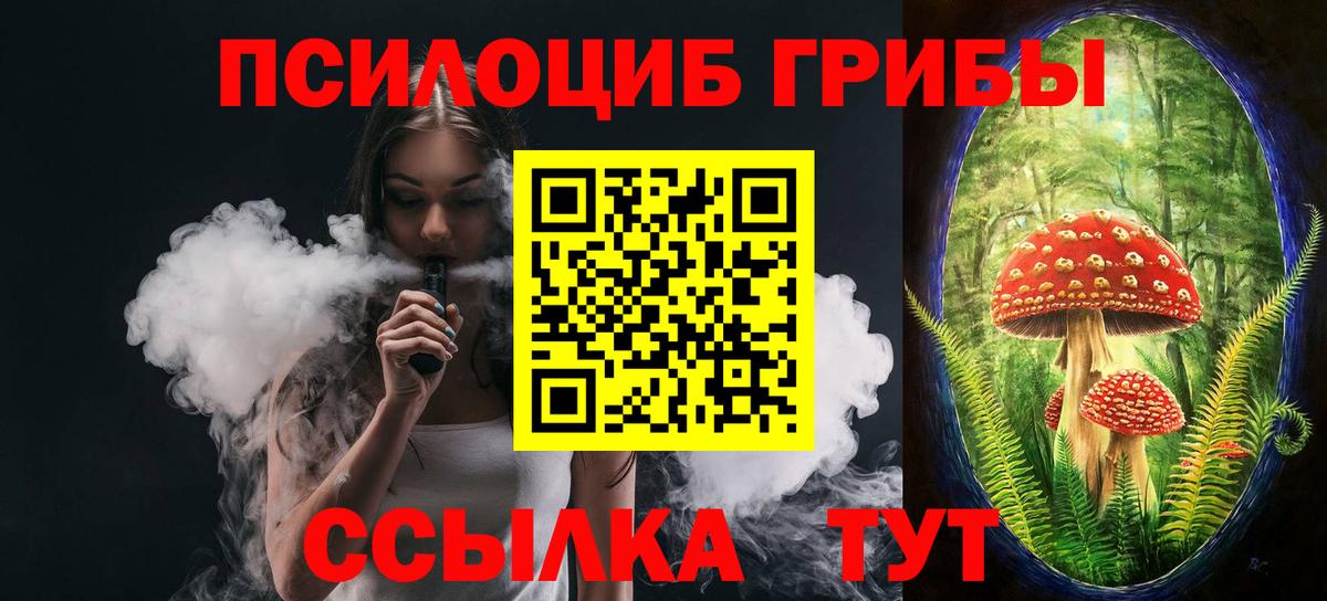 Галлюциногенные грибы мицелий  Топки  Псилоцибиновые грибы MAGIC MUSHROOMS 