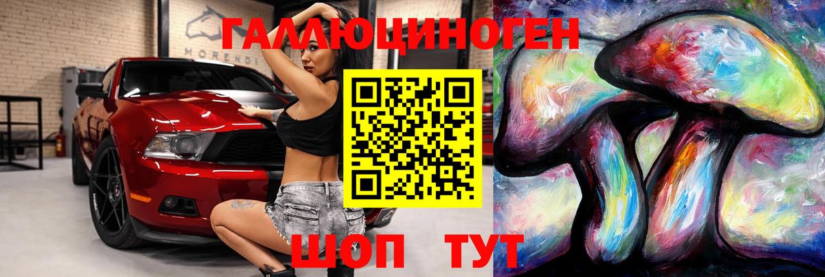 Псилоцибиновые грибы GOLDEN TEACHER Топки