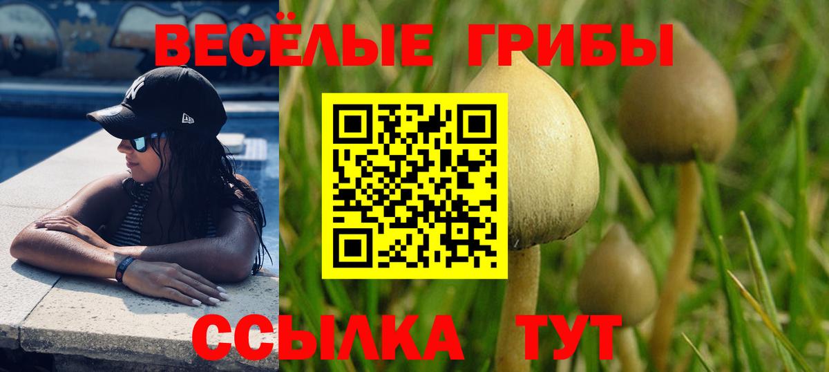 Топки  Галлюциногенные грибы GOLDEN TEACHER  Псилоцибиновые грибы мицелий  Вход с VPN 