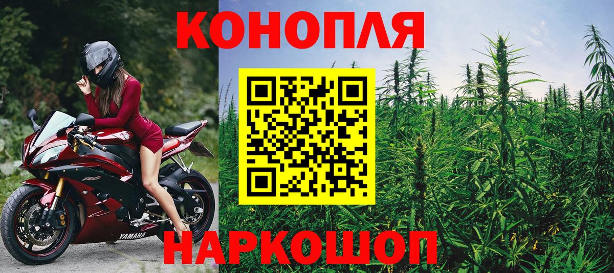 Бошки Шишки ГИДРОПОН Топки